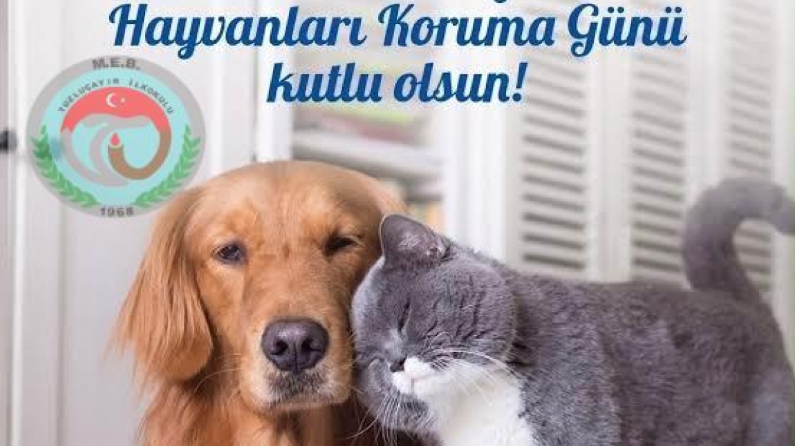 4 EKİM DÜNYA HAYVANLARI KORUMA GÜNÜ